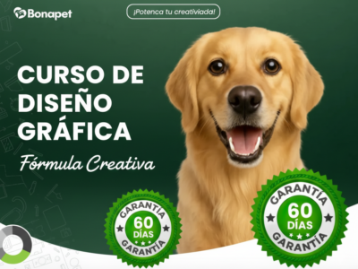 miniatura del curso